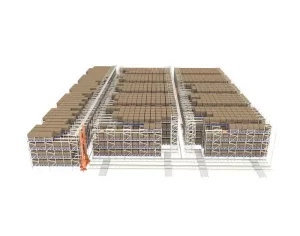 Shuttle Stacker Crane System
